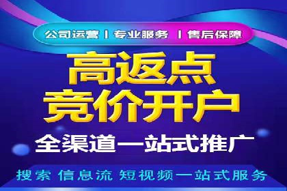 电商行业SEM运营的挑战与成功案例
